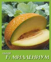 Милениум F1 (дыня) 100 сем. ЭС